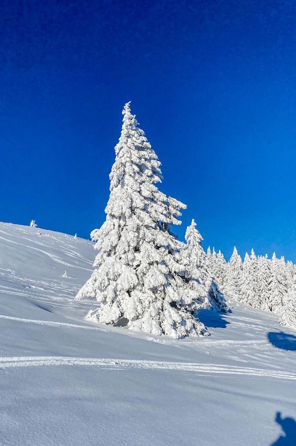 Ferienwohnungen Am Skilift Herrischried Buitenkant foto