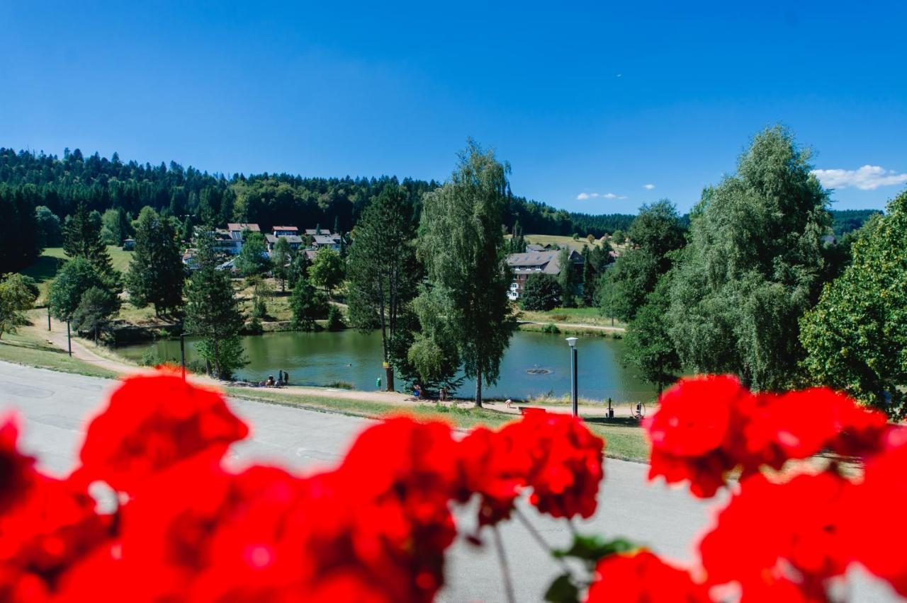 Ferienwohnungen Am Skilift Herrischried Buitenkant foto