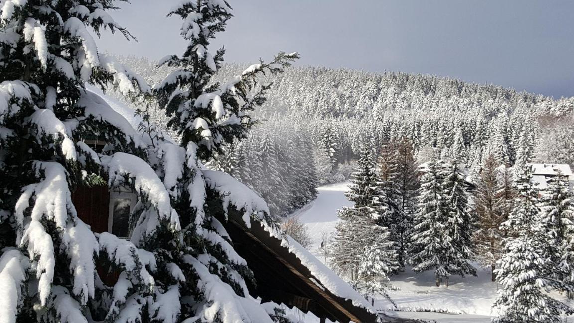 Ferienwohnungen Am Skilift Herrischried Buitenkant foto