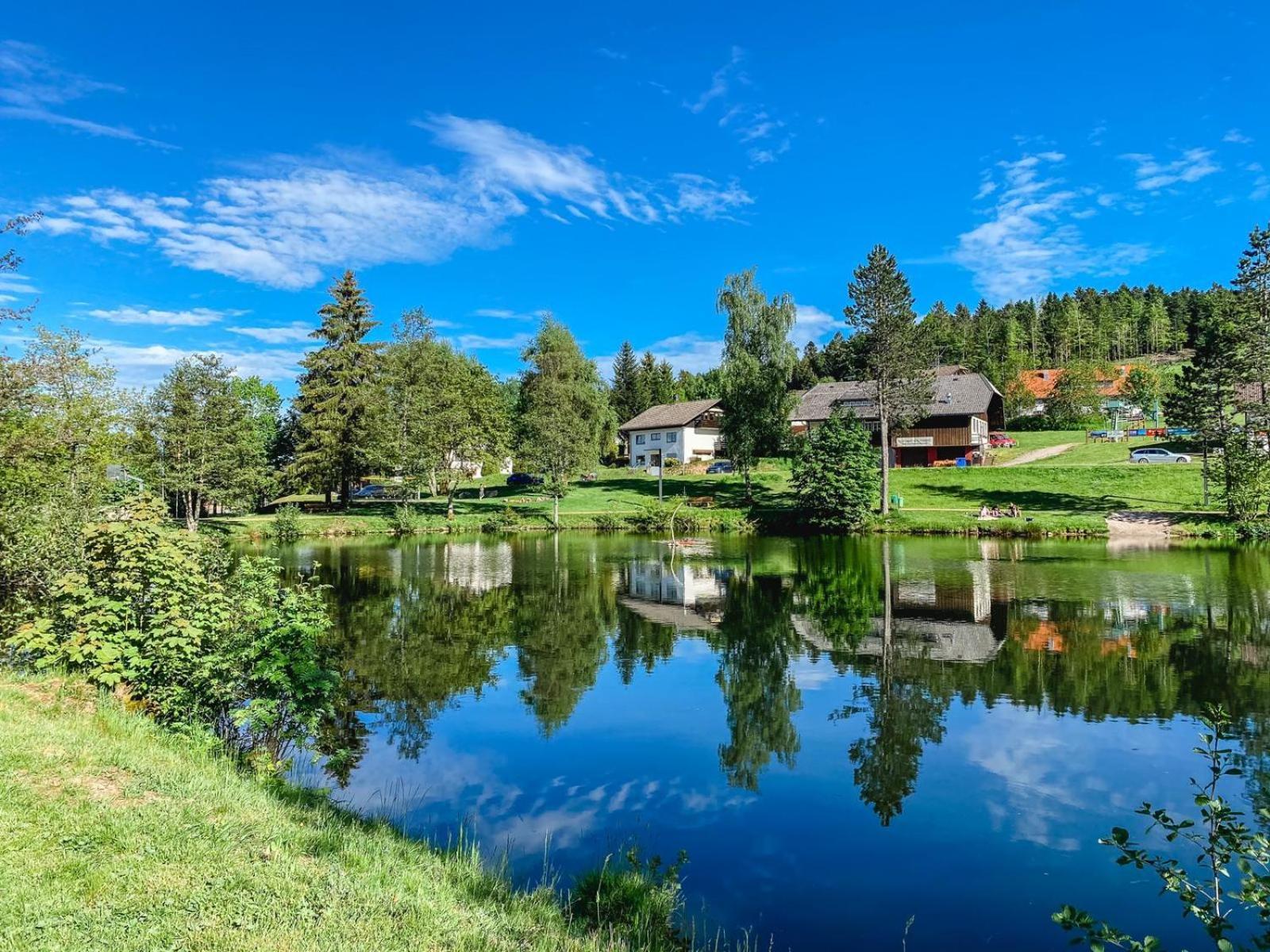Ferienwohnungen Am Skilift Herrischried Buitenkant foto