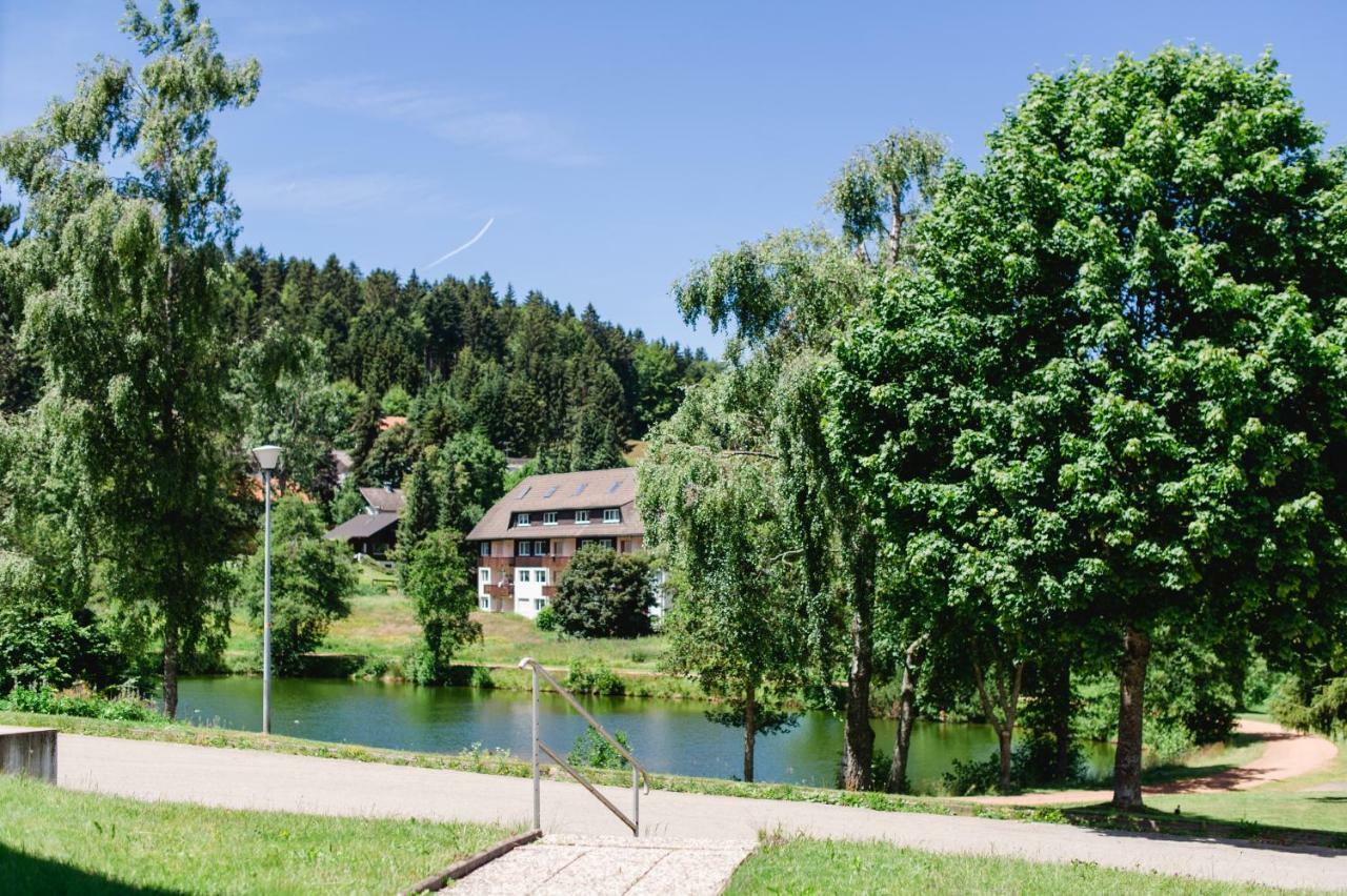 Ferienwohnungen Am Skilift Herrischried Buitenkant foto
