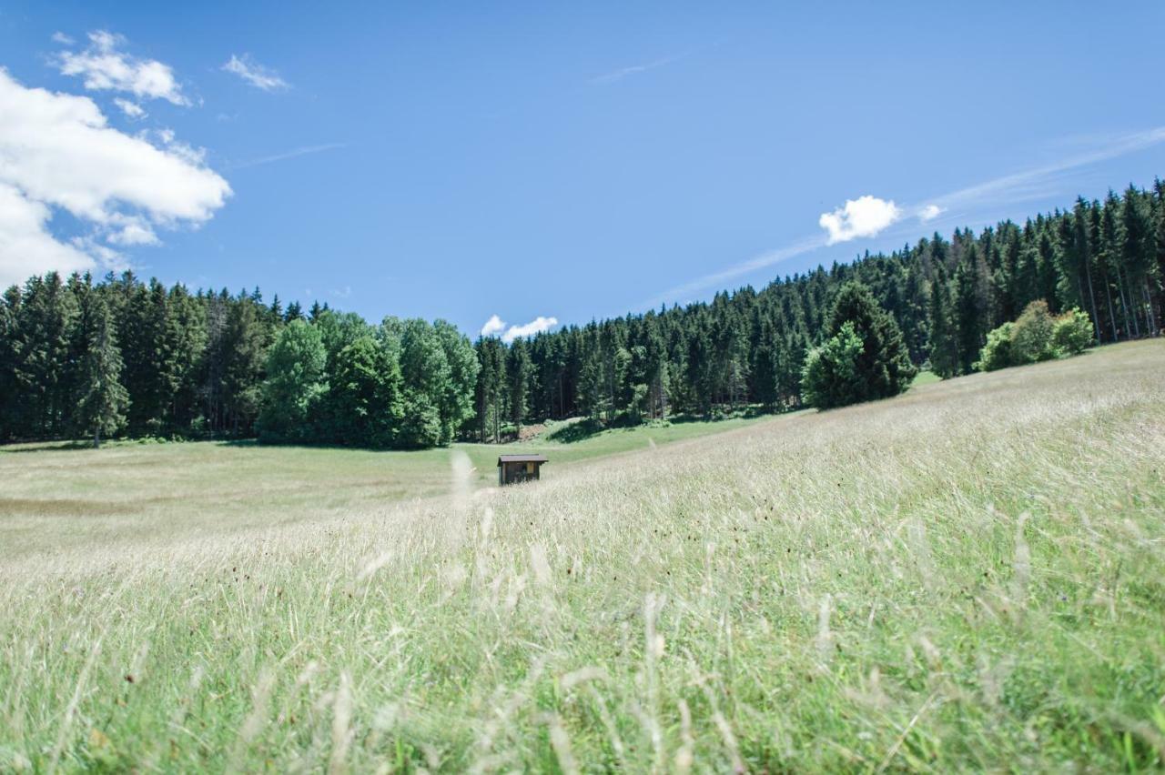 Ferienwohnungen Am Skilift Herrischried Buitenkant foto