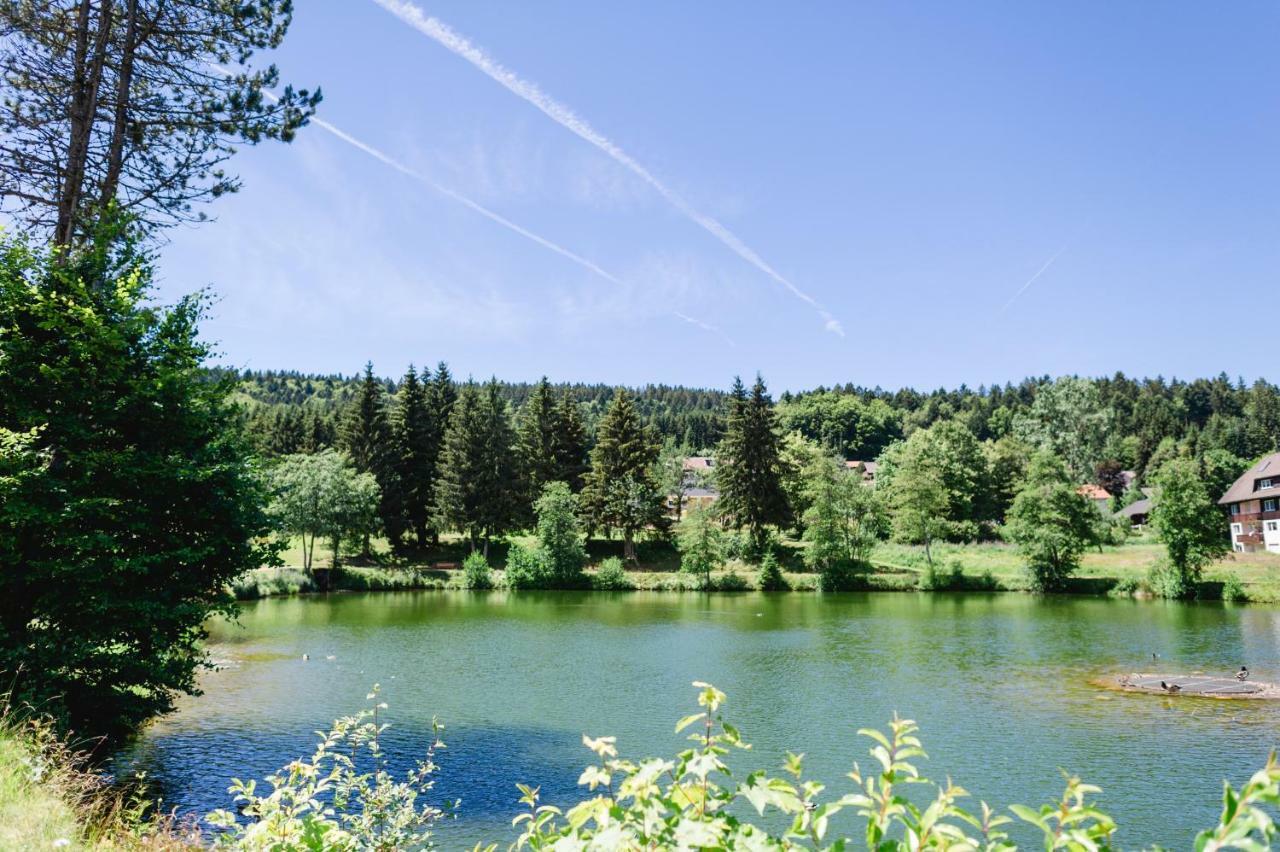 Ferienwohnungen Am Skilift Herrischried Buitenkant foto