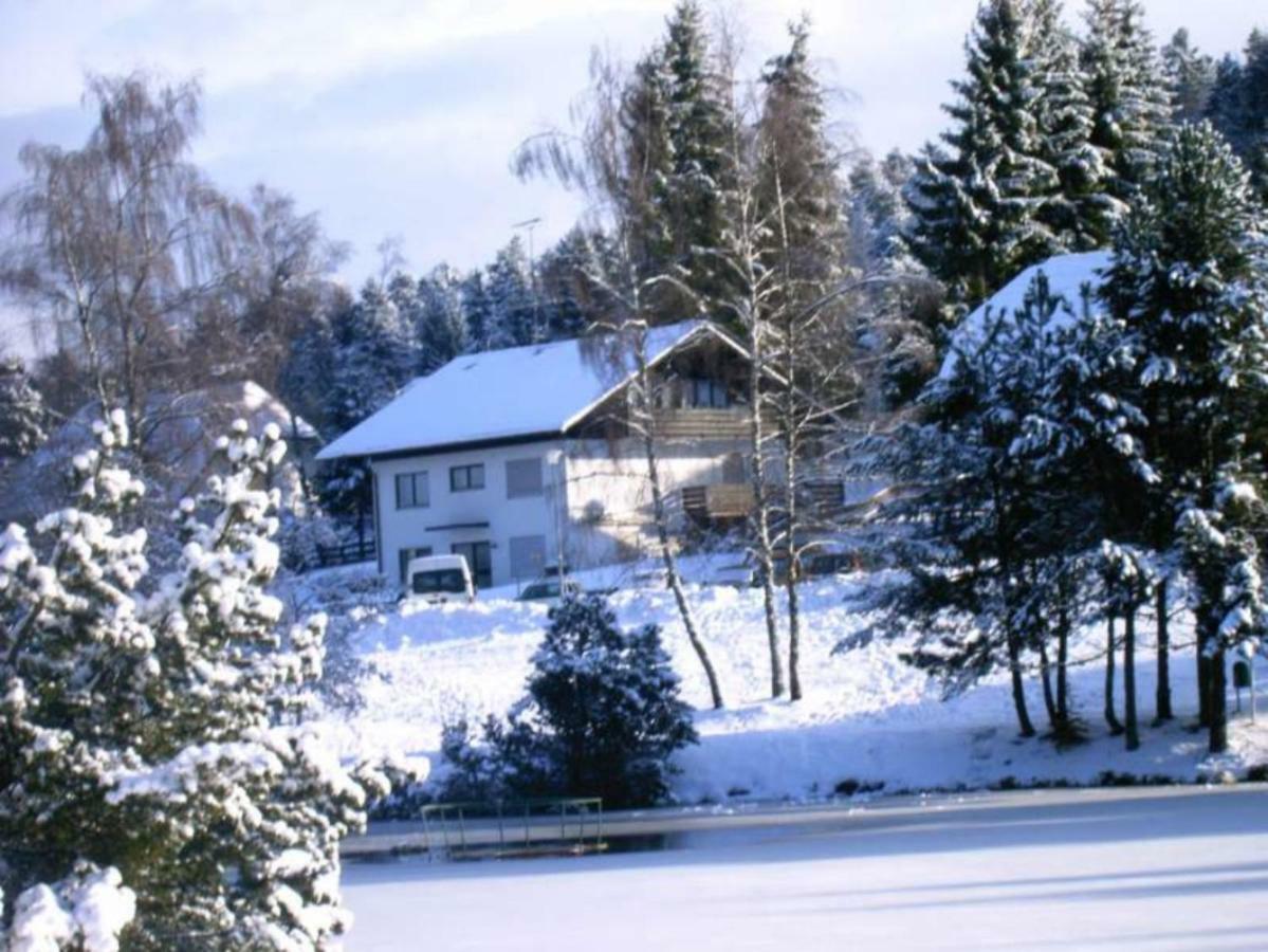 Ferienwohnungen Am Skilift Herrischried Buitenkant foto